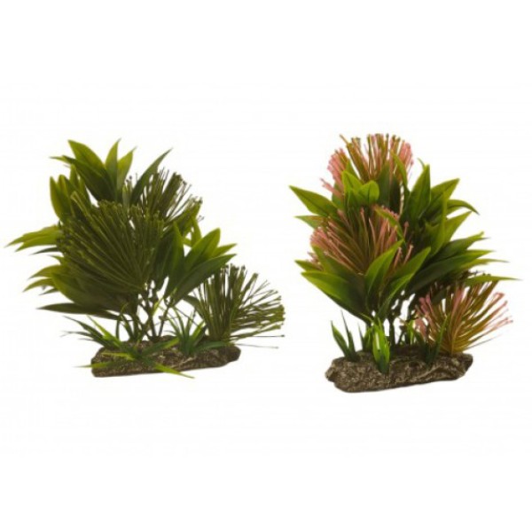 ΔΙΑΚΟΣΜΗΤΙΚΟ ΦΥΤΟ ΕΝΥΔΡΕΙΟΥ ΣΕ 2 ΧΡΩΜΑΤΑ 18.5Χ11.5CM